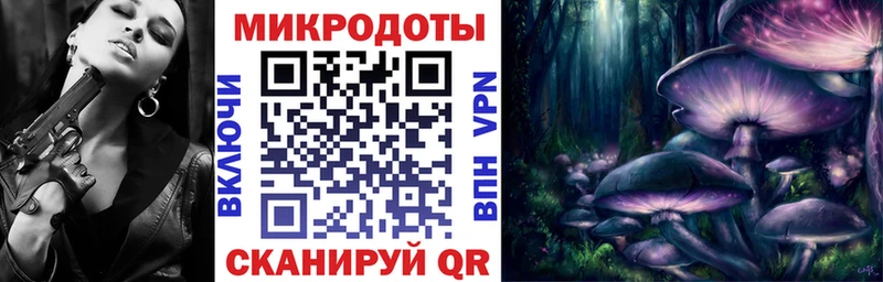 Галлюциногенные грибы прущие грибы  Хасавюрт 